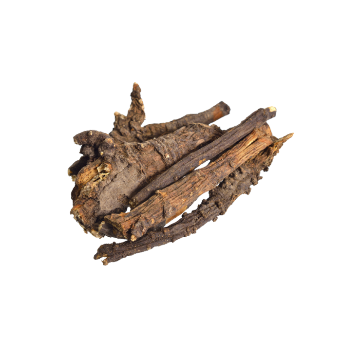 Экстракт сухой — любисток (корень)