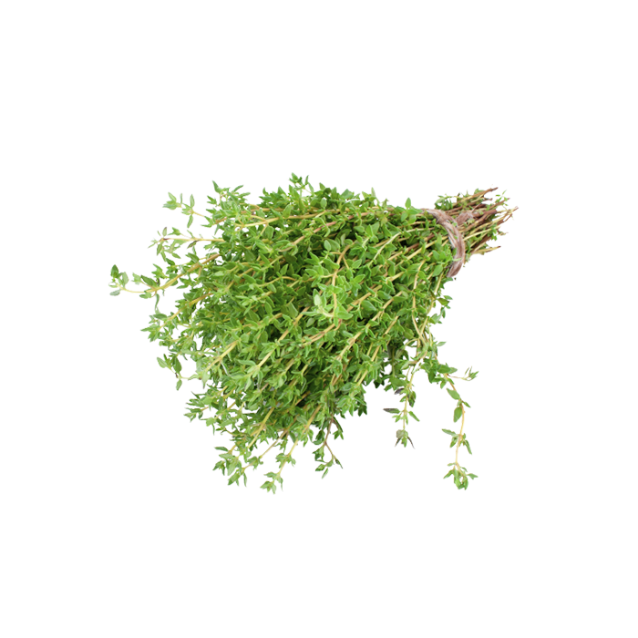 Экстракт сухой — чабрец (трава)