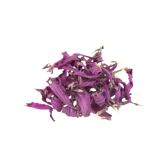 Экстракт сухой — эхинацея (трава)